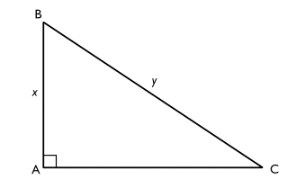 I triangeln $ABC$ är vinkeln $A$ rät. $AB$ är $x\, cm$ och $BC$ är $y\, cm.$ Vilket uttryck beskriver triangelns area?