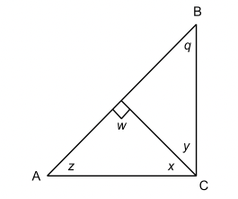 Triangeln $ABC$ är rätvinklig. Vinkeln $w$ är rät. Hur stora är vinklarna $\boldsymbol{q}$ och $\boldsymbol{z?}$