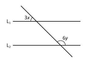 $L_1$ och $L_2$ är parallella linjer. Vad är $1,5x + 3y$?