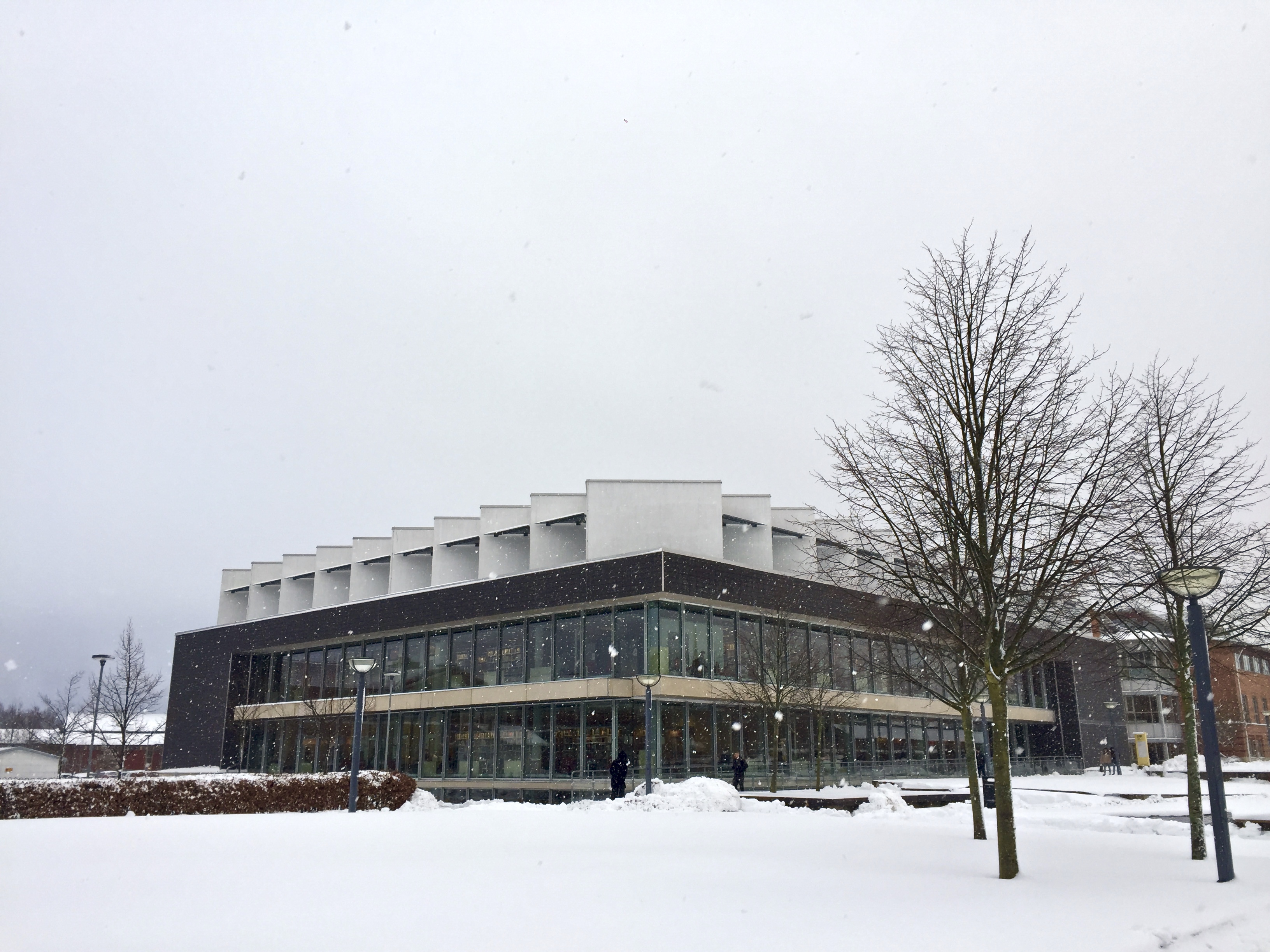 Linnéuniversitetet bild 2