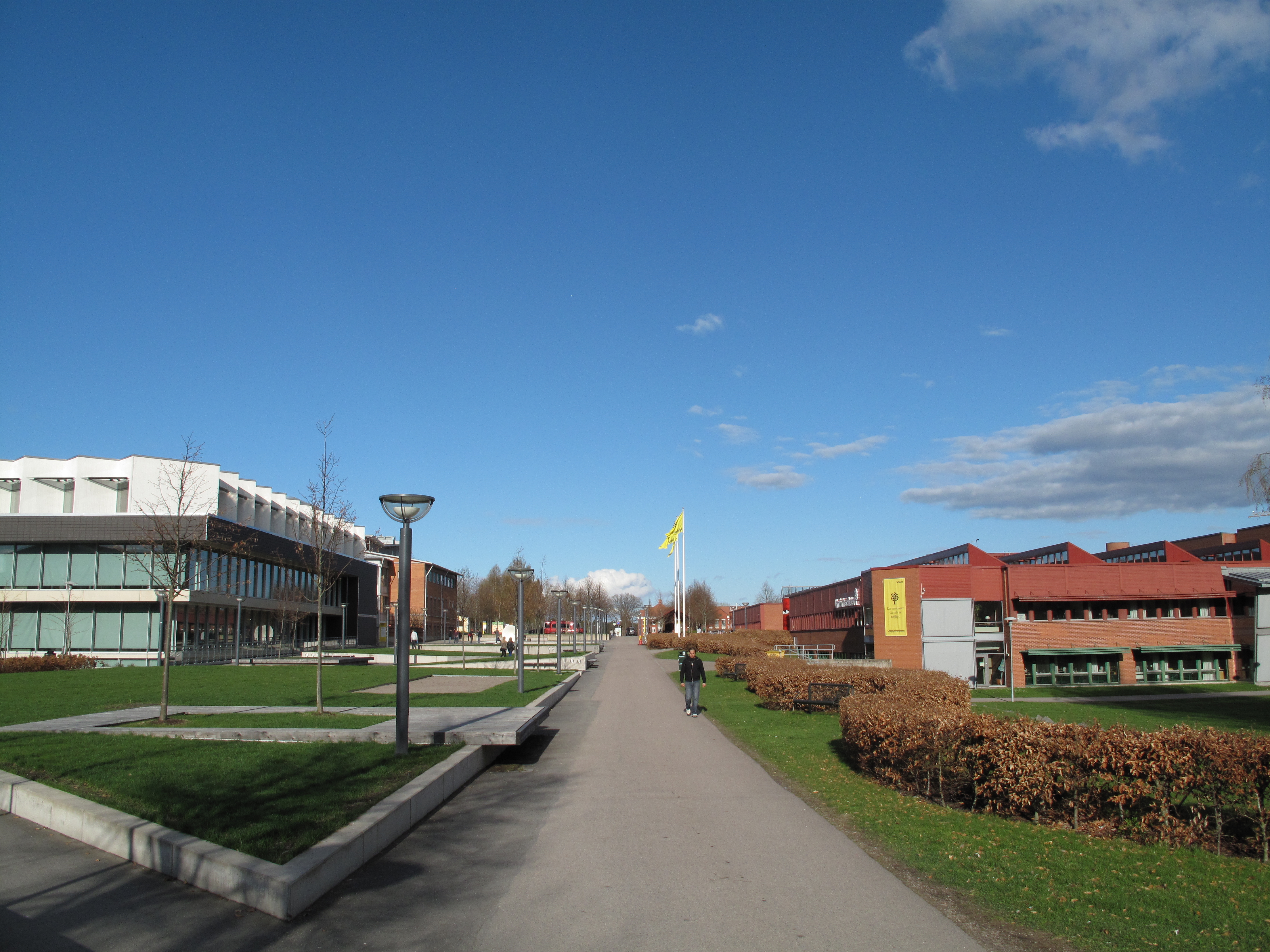 Linnéuniversitetet bild 3