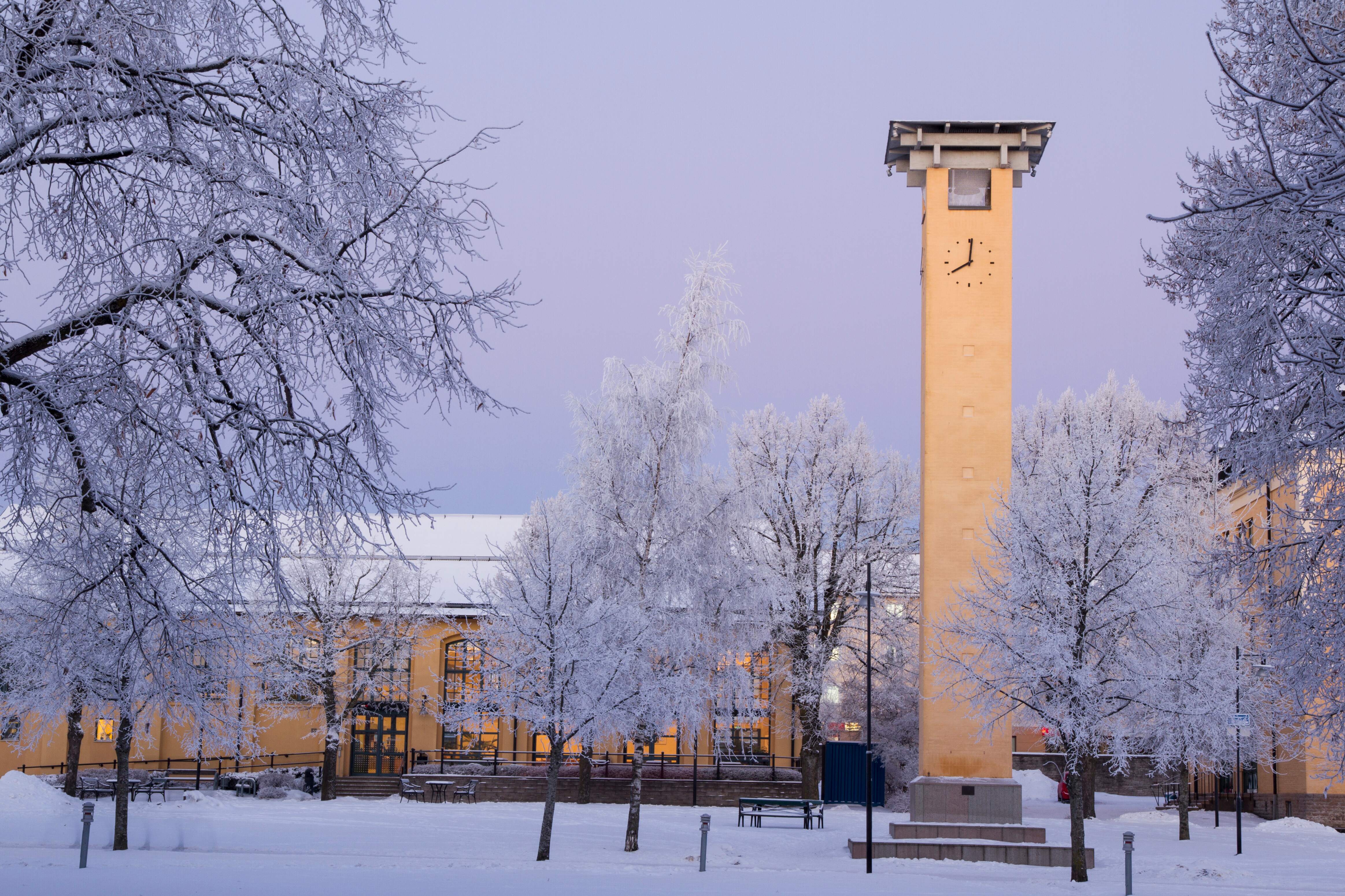 Högskolan i Skövde bild 2