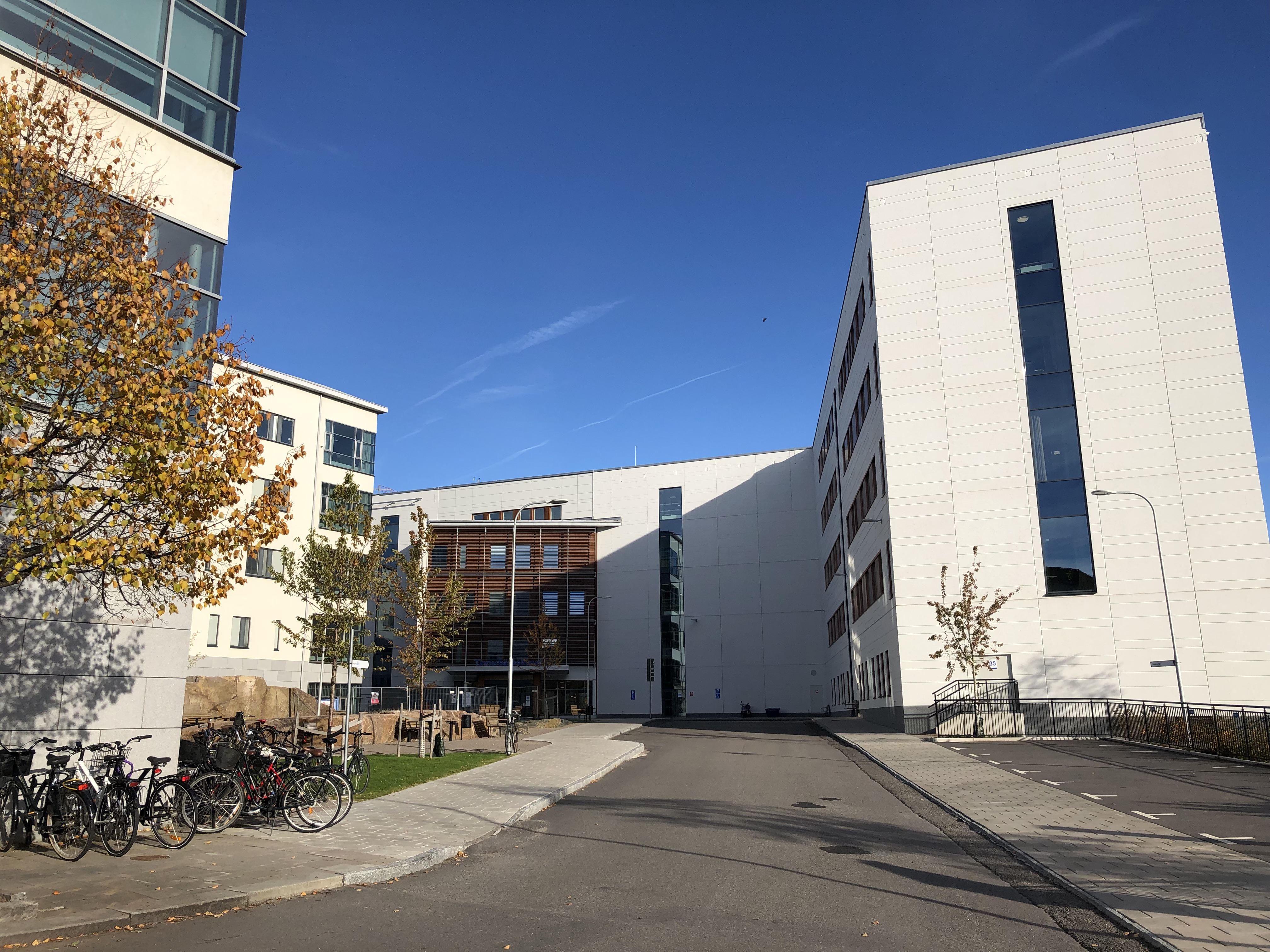 Linköpings Universitet bild 4
